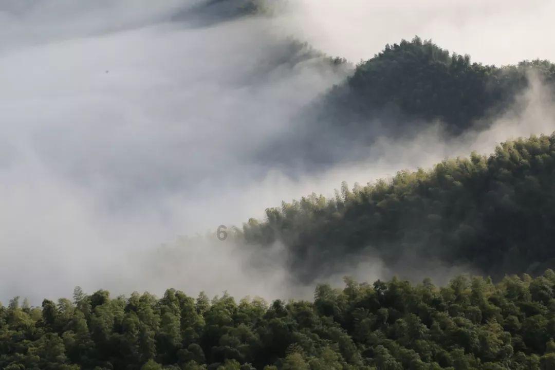 哈哈哈哈！哼指导贴面怒喷裁判吃T 裁判回过头摸了把脸